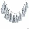 Best reviews of π Tassel Garland βοΈ 1 Best reviews of π Tassel Garland βοΈ -Occasions Sales silver tassel garland13725046